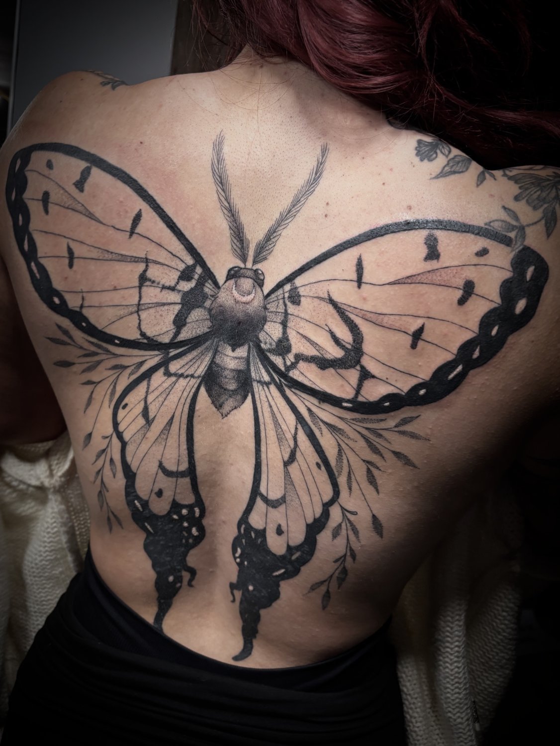 Moth back piece framed by botanical linework